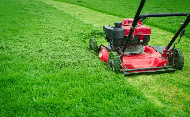 Grasmaaier-die-gras-maait-voor-een-nettere-en-gezorgde-tuin