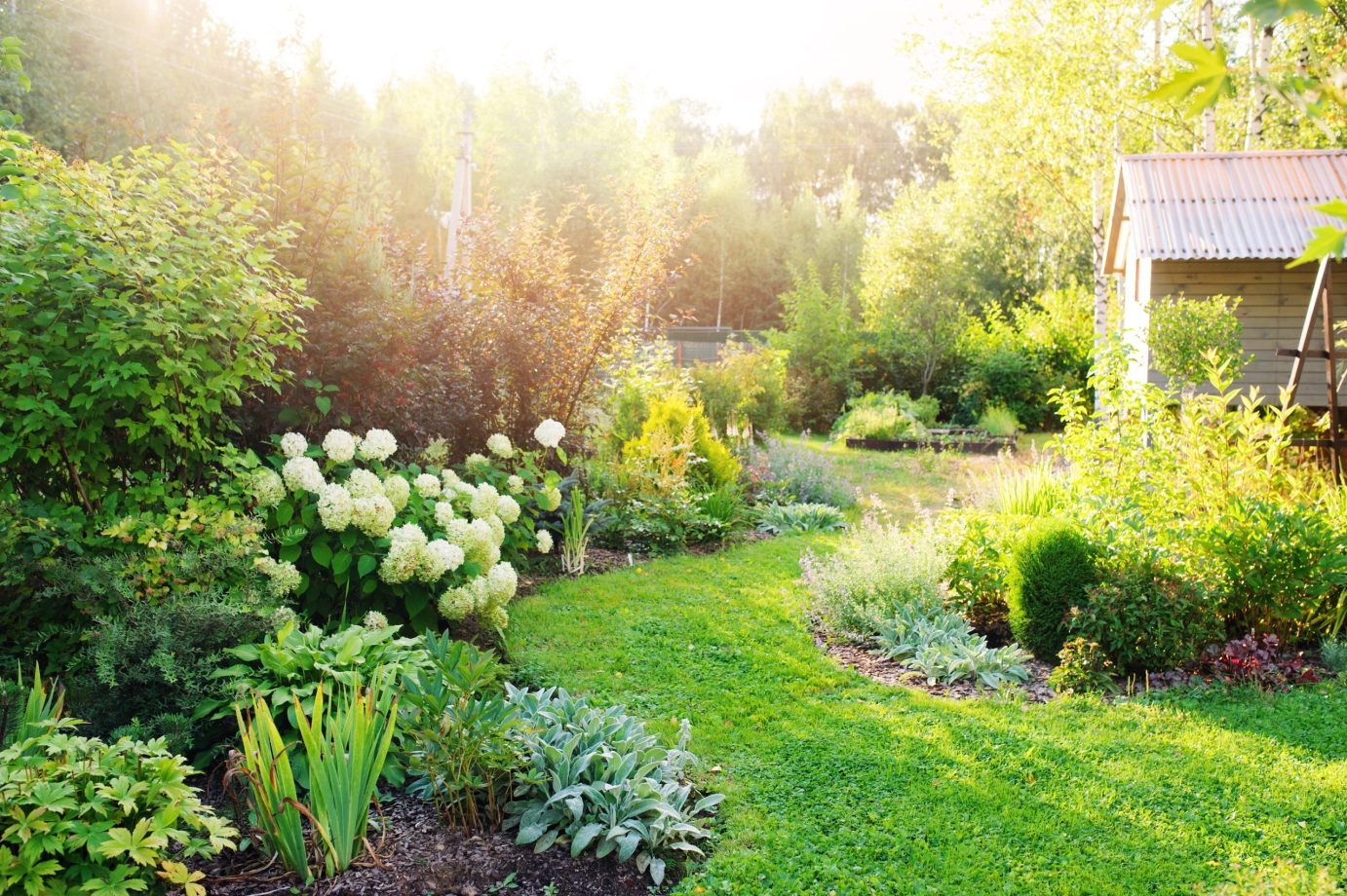 Moderne-tuin-met-planten-en-struiken-aangelegd-door-LT-Hoveniers-gespecialiseerd-in-groenonderhoud-en-groenaanleg