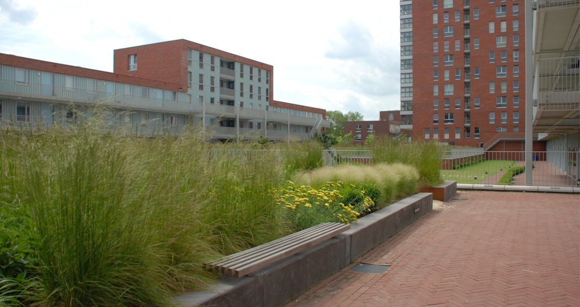 Foto-van-zorginstelling-met-groenvoorziening-voor-een-rustige-en-gezonde-omgeving