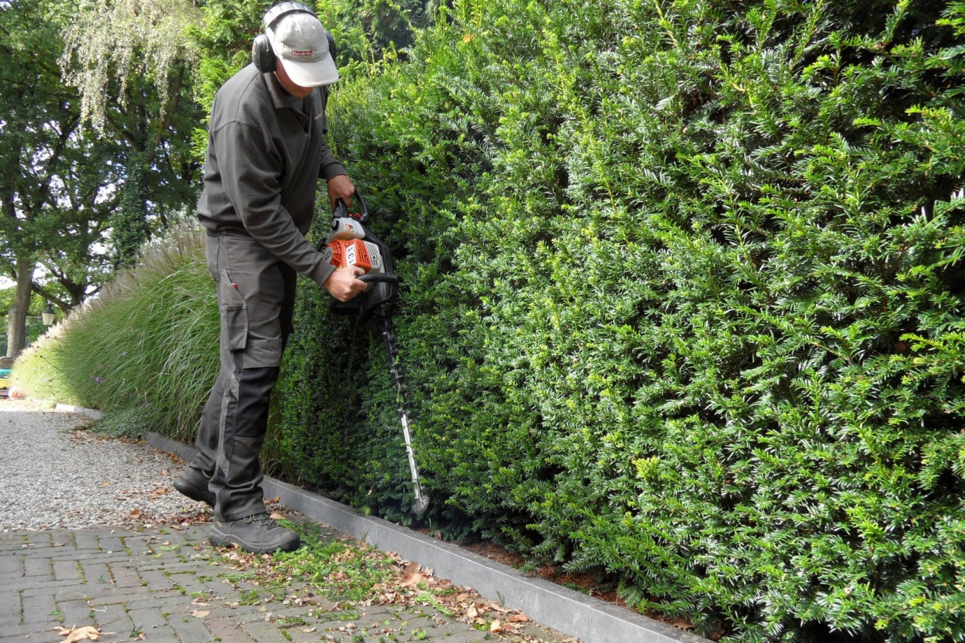 Heg-aan-het-snoeien-voor-een-strakke-en-verzorgde-tuin